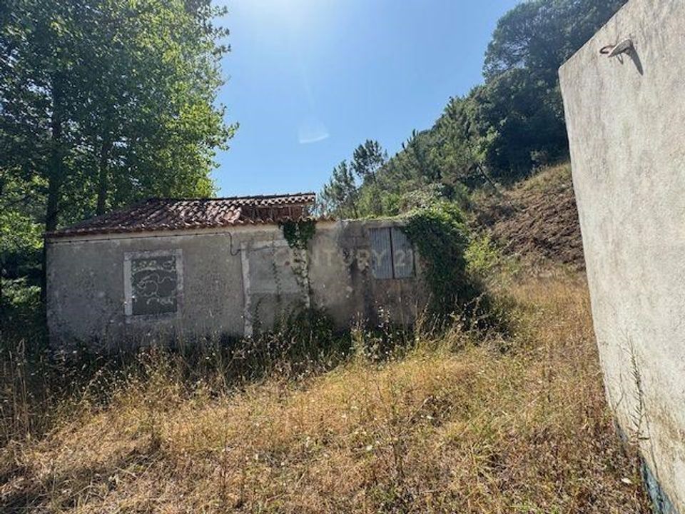 Villa i Alcobaca, Leiria - foto 3