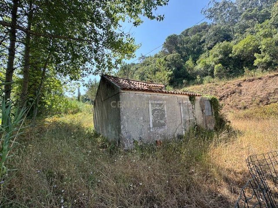 Villa i Alcobaca, Leiria - foto 5