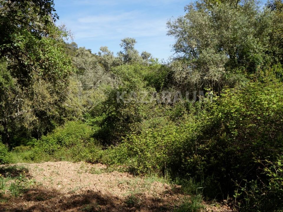 Farm hus i Odemira, Beja - foto 4