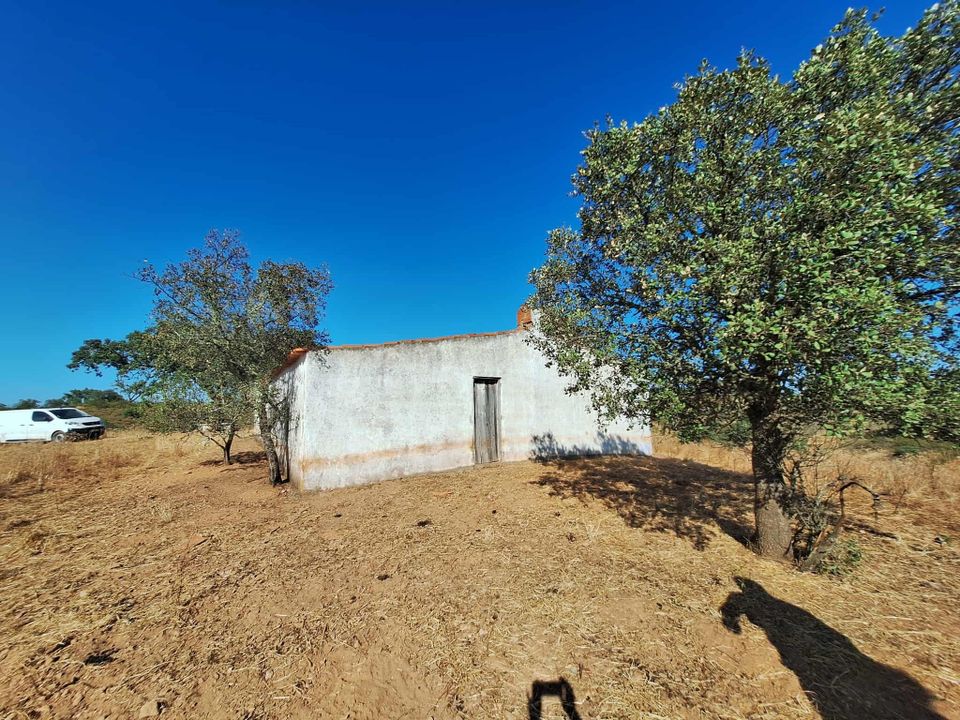Farm hus i Serpa, Beja - foto 3