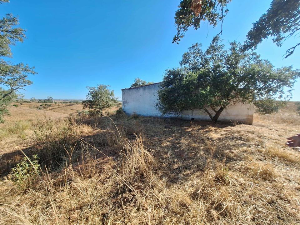 Farm hus i Serpa, Beja - foto 4