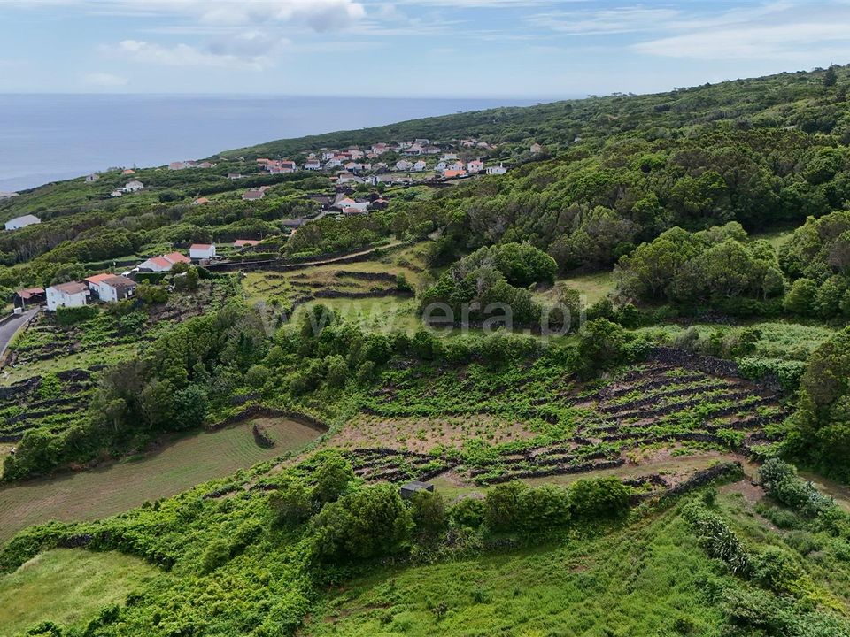 Helårsgrund i Lajes do Pico, Pico - foto 5