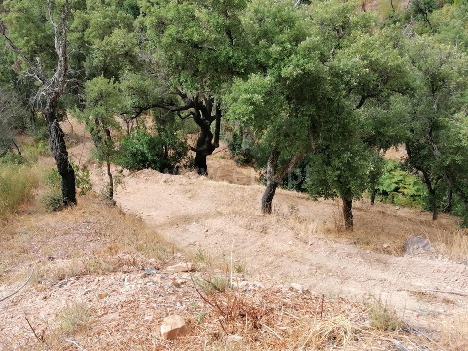 Helårsgrund i Monchique, Faro - foto 5