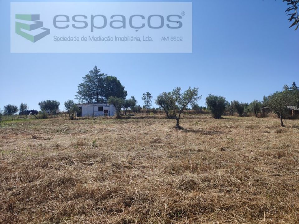 Farm i Ladoeiro, Castelo Branco - foto 4