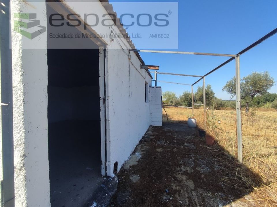 Farm i Ladoeiro, Castelo Branco - foto 5