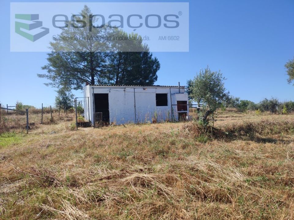 Farm i Ladoeiro, Castelo Branco - foto 3