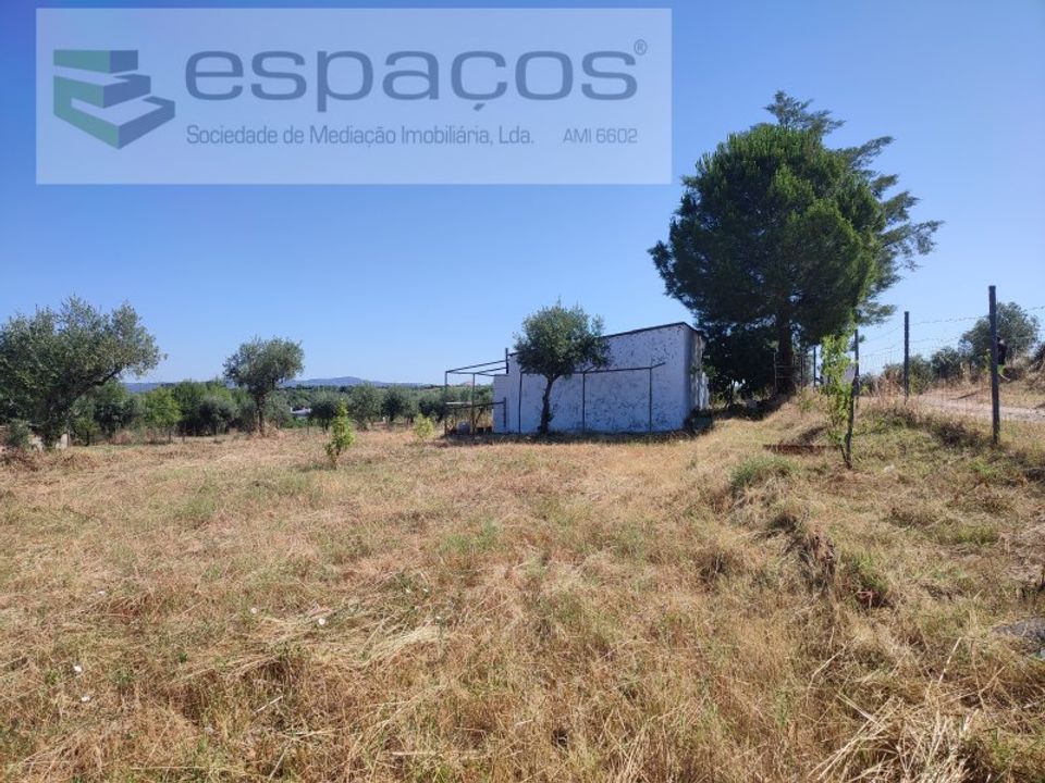 Farm i Ladoeiro, Castelo Branco - foto 2