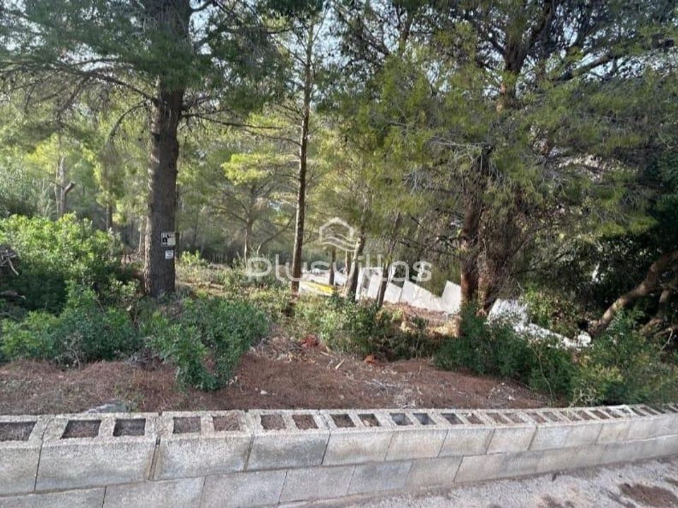 Helårsgrund i Altea, Alicante - foto 3