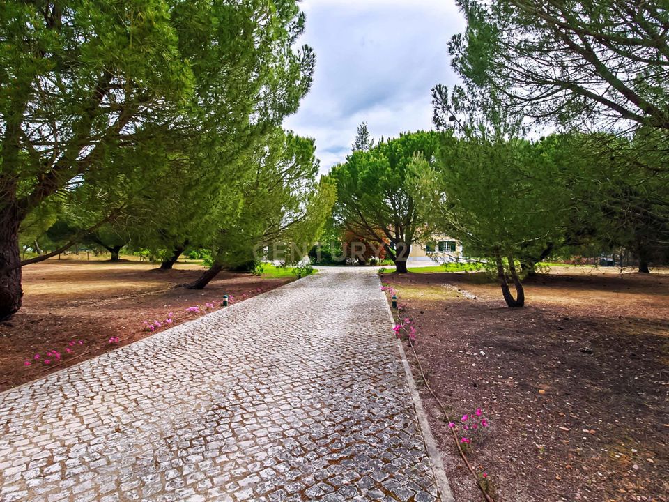 Villa i Benavente, Santarem - bilde 4