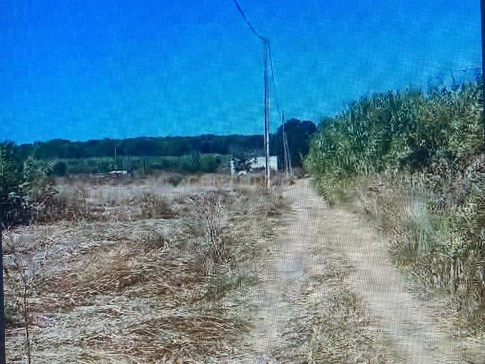 Helårsgrund i Almancil, Faro - foto 2
