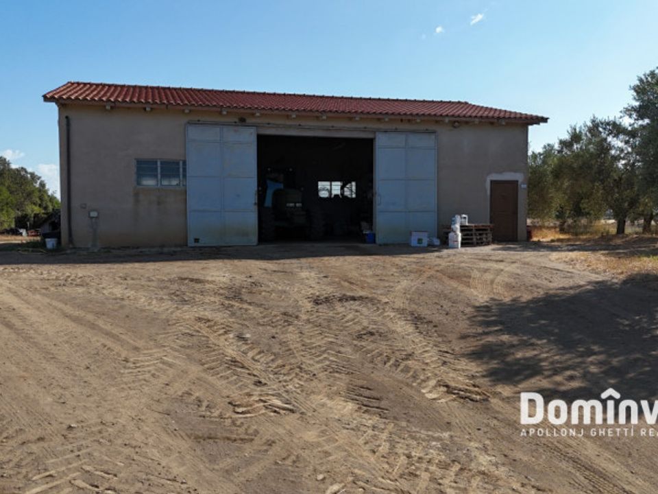Landejendom i Capalbio, Grosseto - foto 3