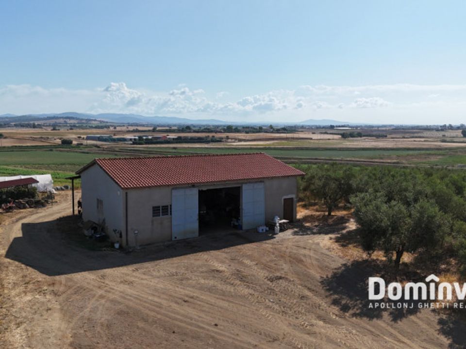 Landejendom i Capalbio, Grosseto - foto 1
