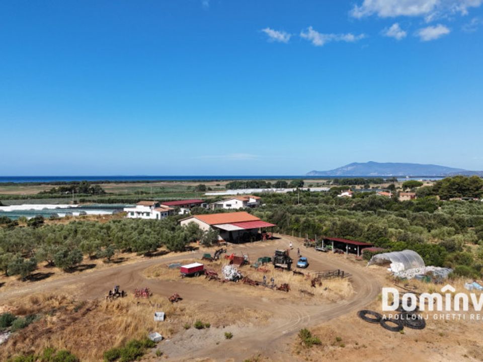 Landejendom i Capalbio, Grosseto - foto 2