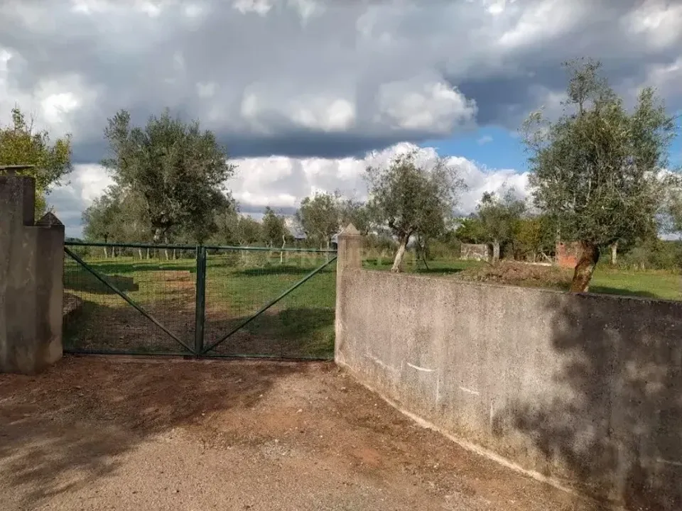 Helårsgrund i Alvaiazere, Leiria - foto 1