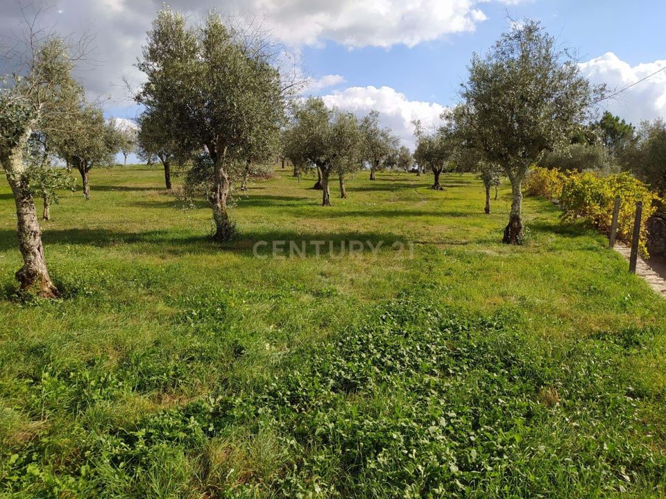 Helårsgrund i Alvaiazere, Leiria - foto 2