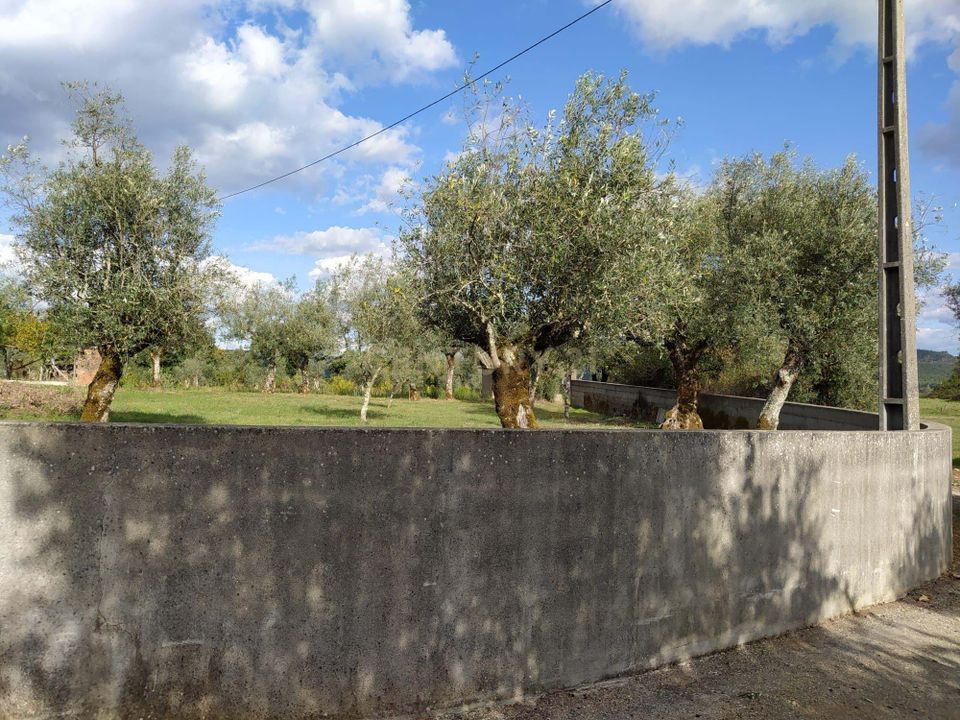 Helårsgrund i Alvaiazere, Leiria - foto 3