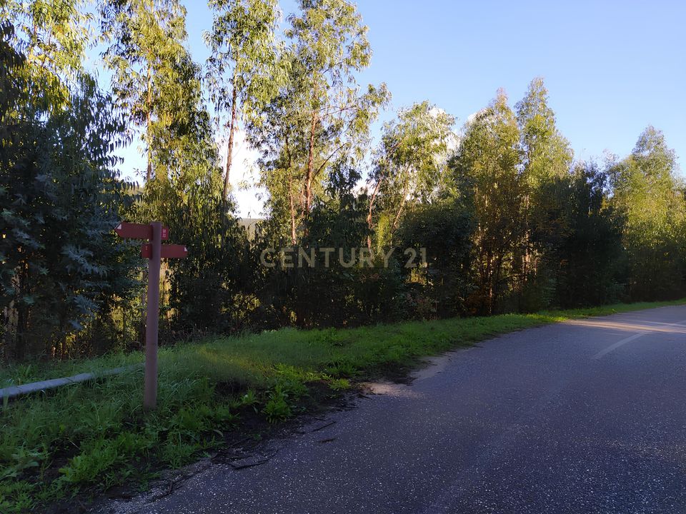 Helårsgrund i Ferreira do Zezere, Santarem - foto 1