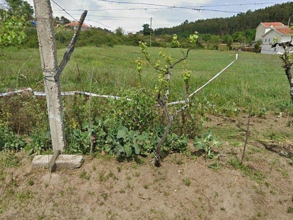 Helårsgrund i Penafiel, Porto - foto 3