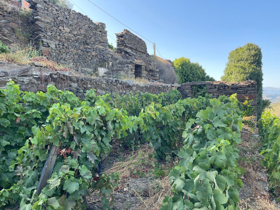 Villa a Parada do Bispo e Valdigem, Viseu - foto 2
