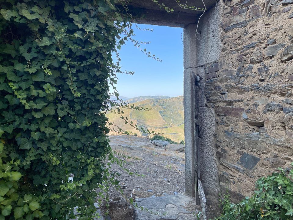 Villa a Parada do Bispo e Valdigem, Viseu - foto 3
