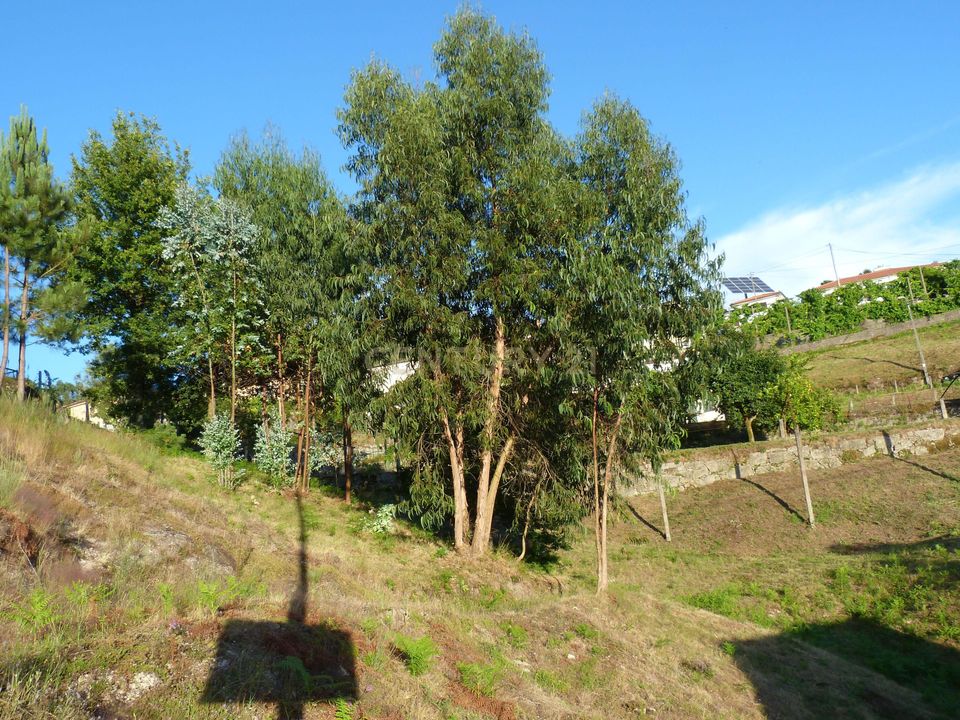 Helårsgrund i Povoa de Lanhoso, Braga - foto 4