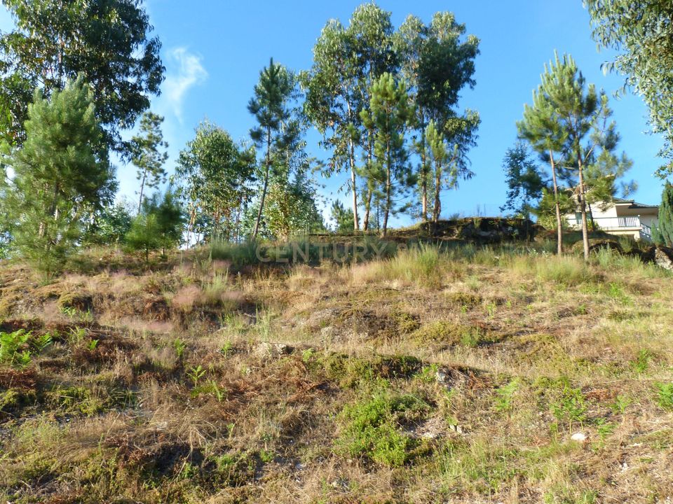 Helårsgrund i Povoa de Lanhoso, Braga - foto 5