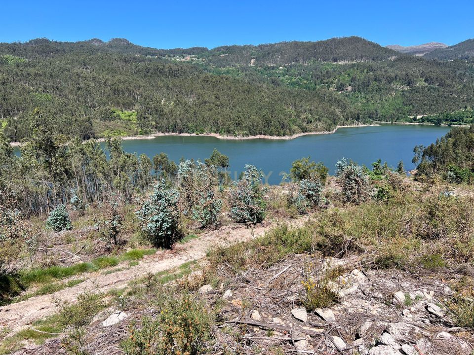 Helårsgrund i Oliveira de Frades, Viseu - foto 1
