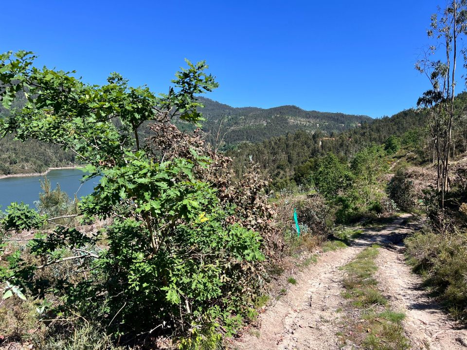 Helårsgrund i Oliveira de Frades, Viseu - foto 5