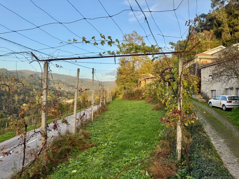 Helårsgrund i Vieira do Minho, Braga - foto 3