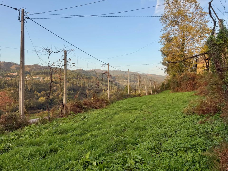 Helårsgrund i Vieira do Minho, Braga - foto 5