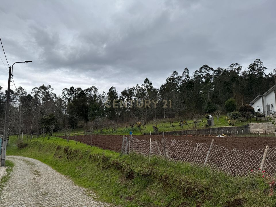 Helårsgrund i Sandim, Porto - foto 2