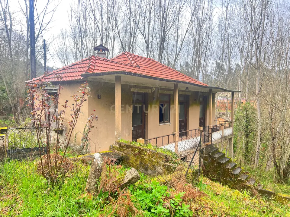Villa i Sao Pedro do Sul, Viseu - foto 2