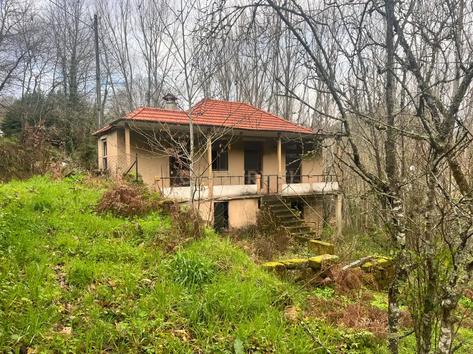 Villa i Sao Pedro do Sul, Viseu - foto 3