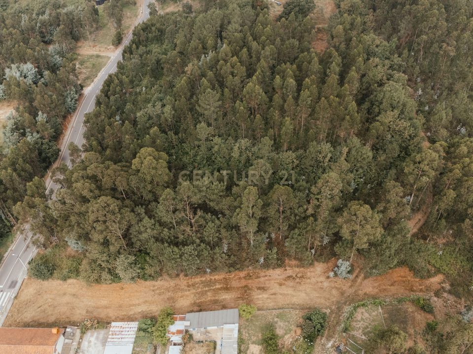 Terreno en Melres e Medas, Porto - foto 4