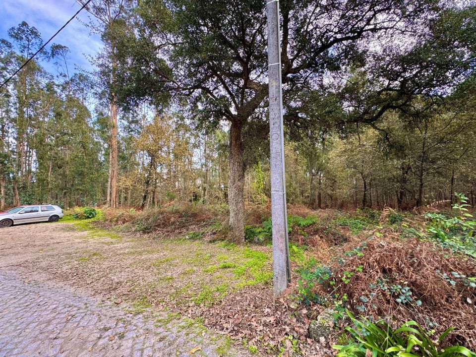 Tomt i Santo Tirso, Porto - bilde 3