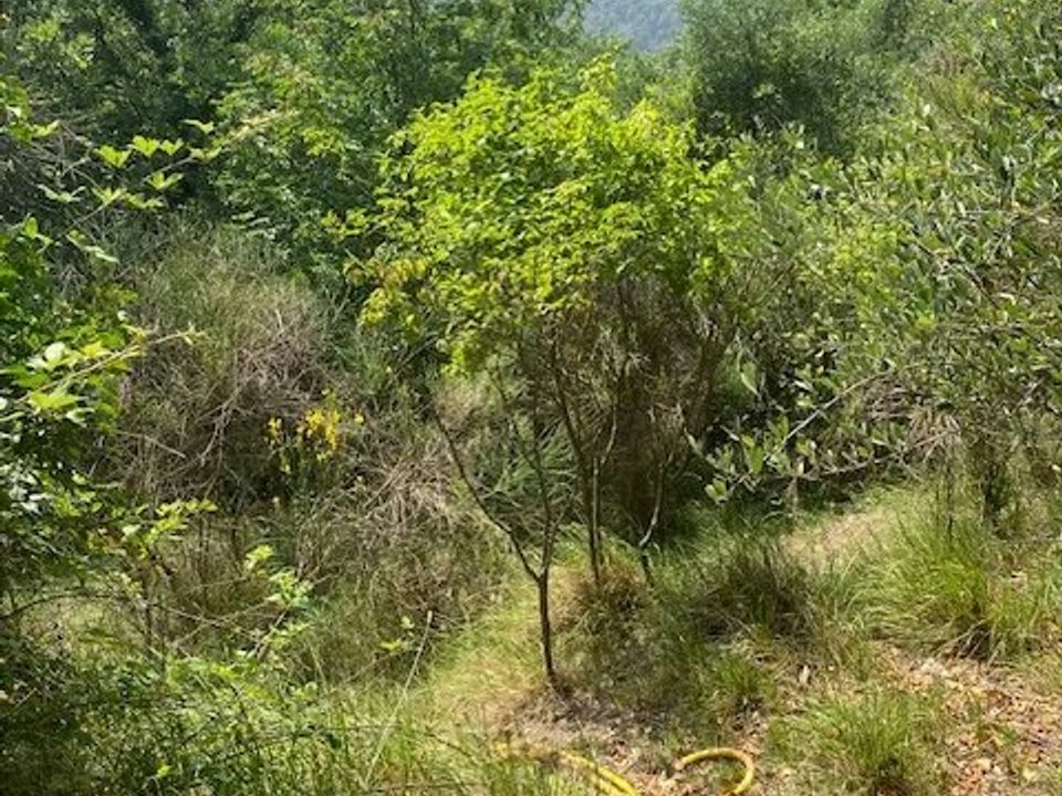 Helårsgrund i Tourrette-Levens, Alpes-Maritimes - foto 5