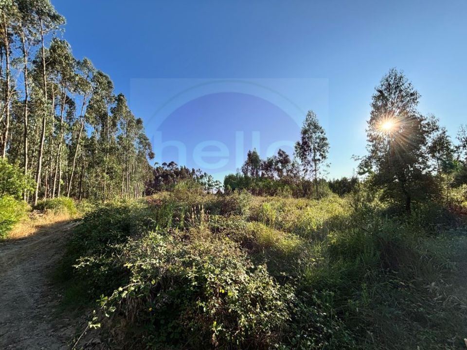 Helårsgrund i Tomar, Santarem - foto 1