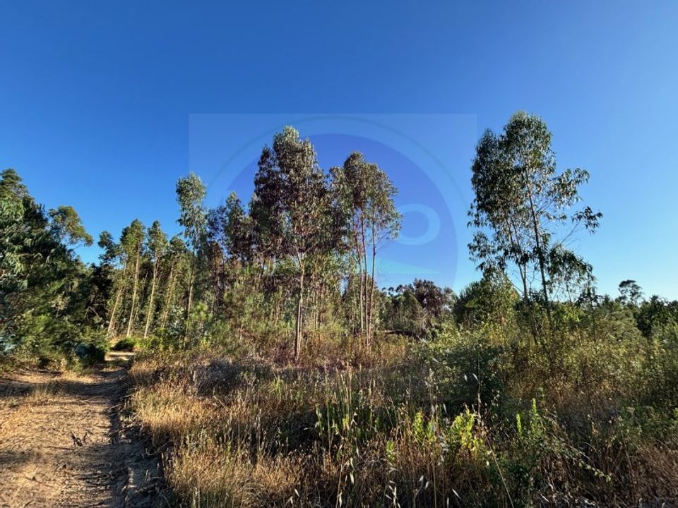 Helårsgrund i Tomar, Santarem - foto 2
