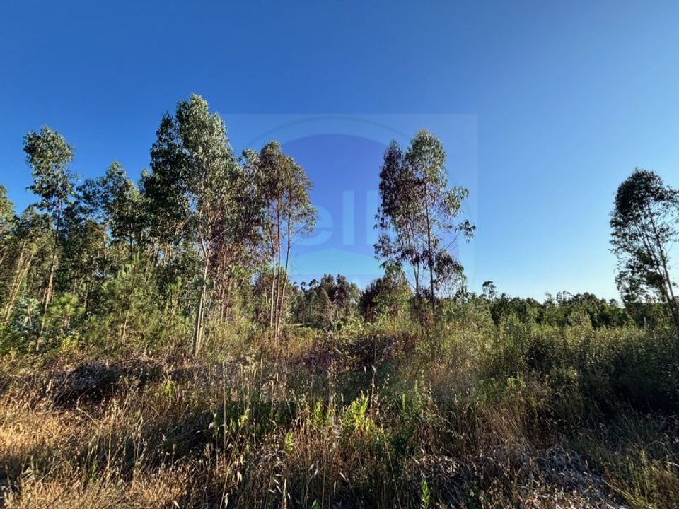 Helårsgrund i Tomar, Santarem - foto 3