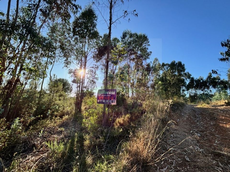 Helårsgrund i Tomar, Santarem - foto 4