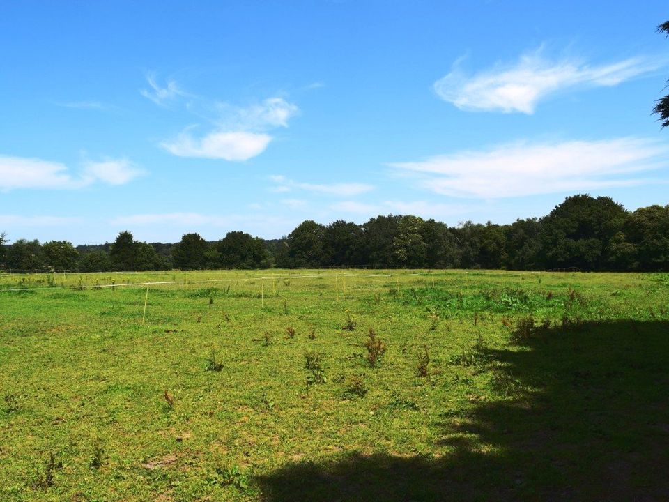 Villa a Silfiac, Morbihan - foto 4
