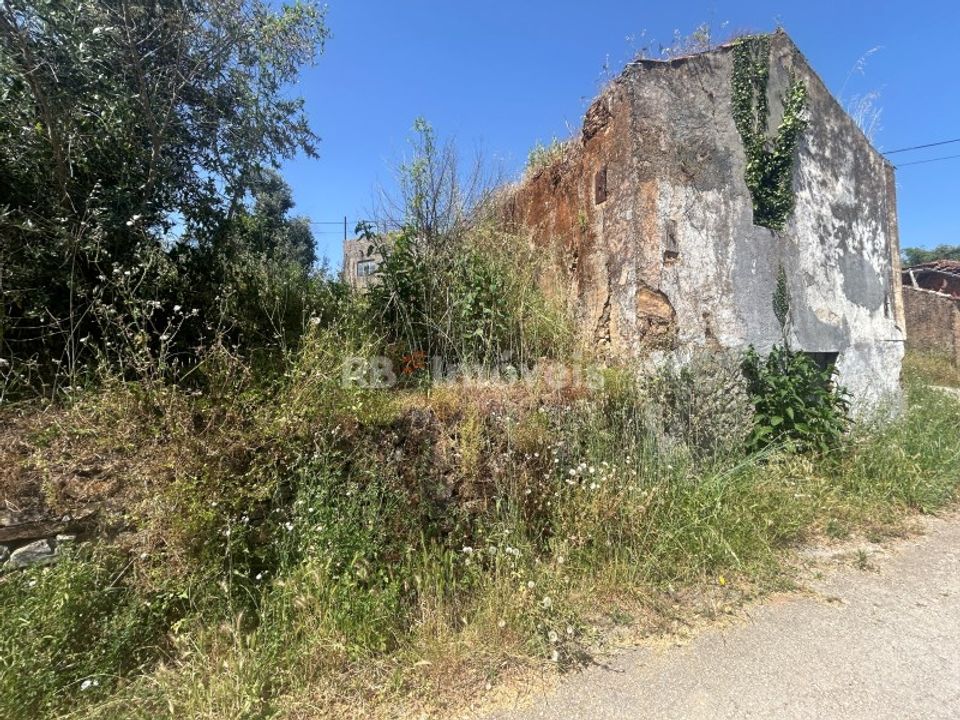 Landejendom i Tomar, Santarem - foto 5