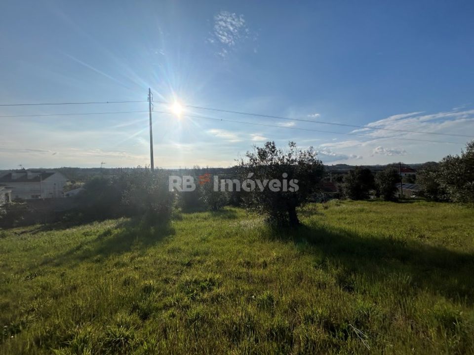 Helårsgrund i Tomar, Santarem - foto 2
