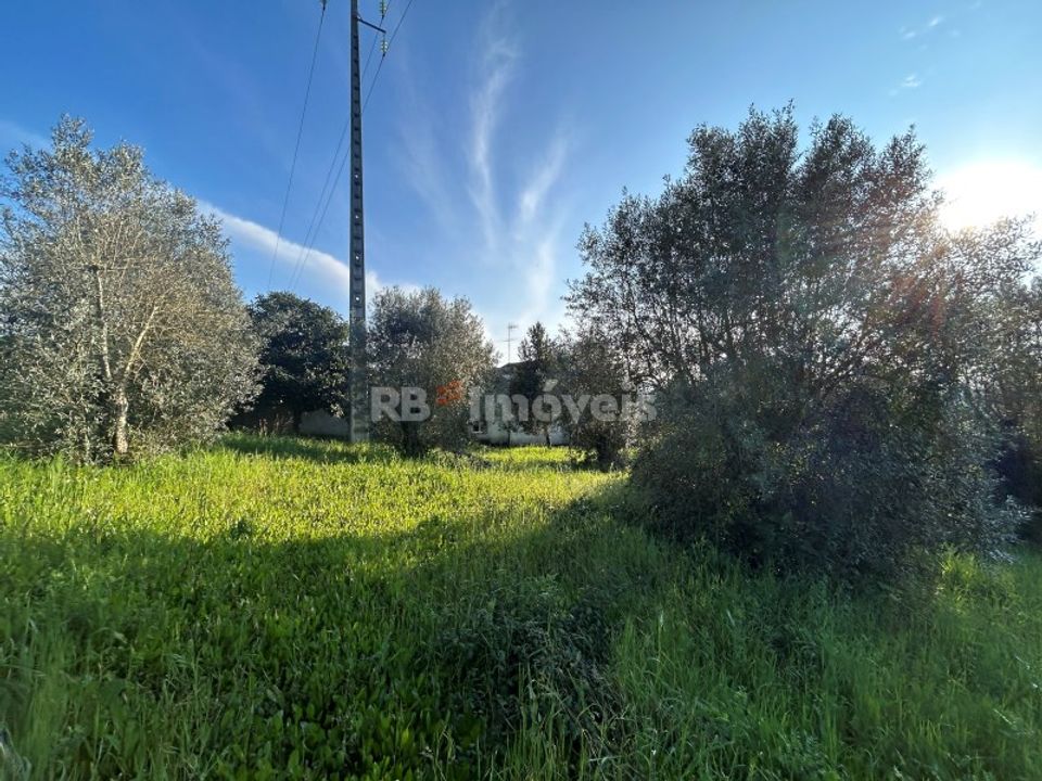 Helårsgrund i Tomar, Santarem - foto 5