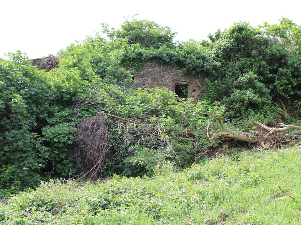 Farm hus i Montecatini Val di Cecina, Pisa - foto 4