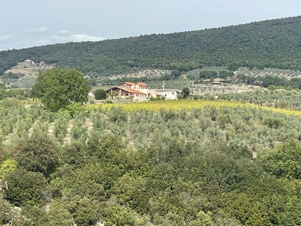 Farm i Montecchio, Terni - foto 1