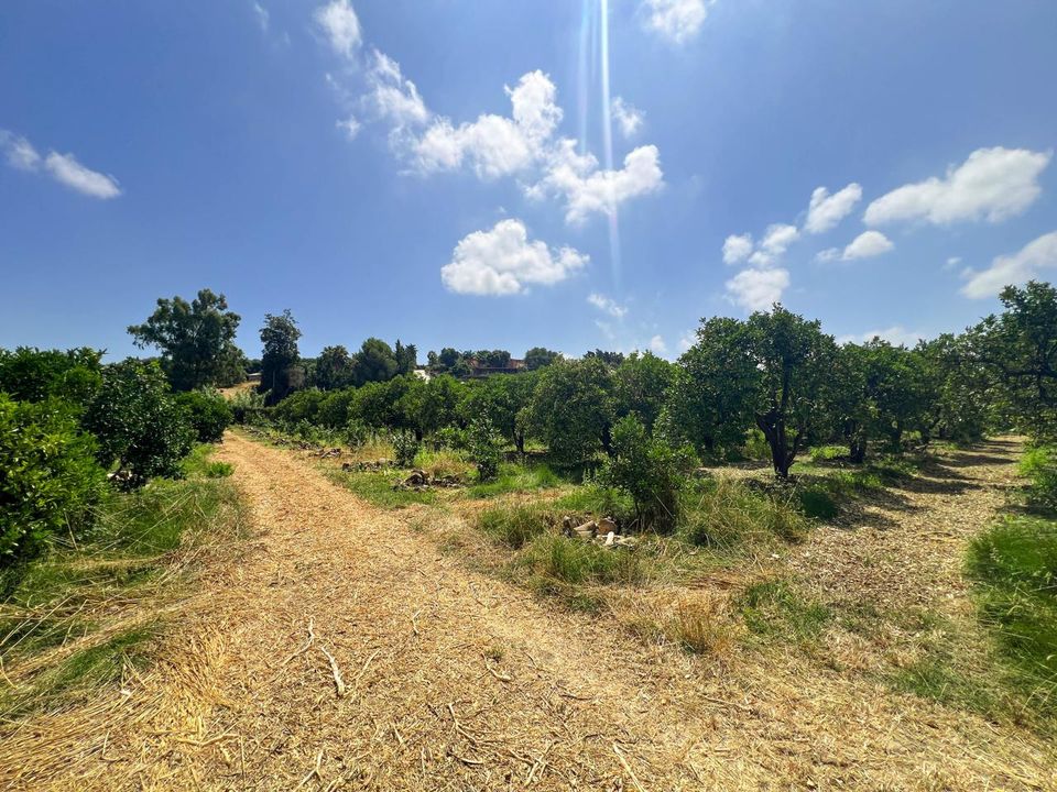 Terra a San Martin Del Tesorillo, Cadiz - foto 2