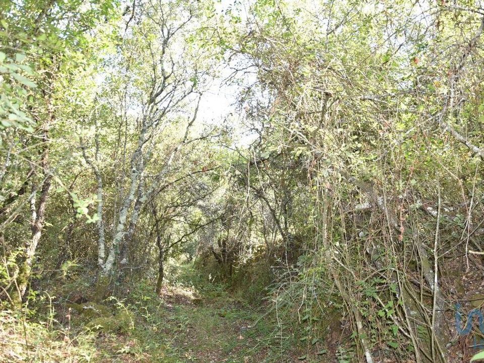 Helårsgrund i Ferreira do Zezere, Santarem - foto 2