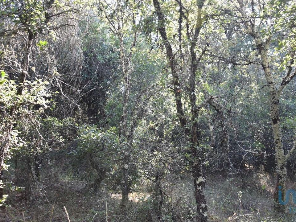 Helårsgrund i Ferreira do Zezere, Santarem - foto 5
