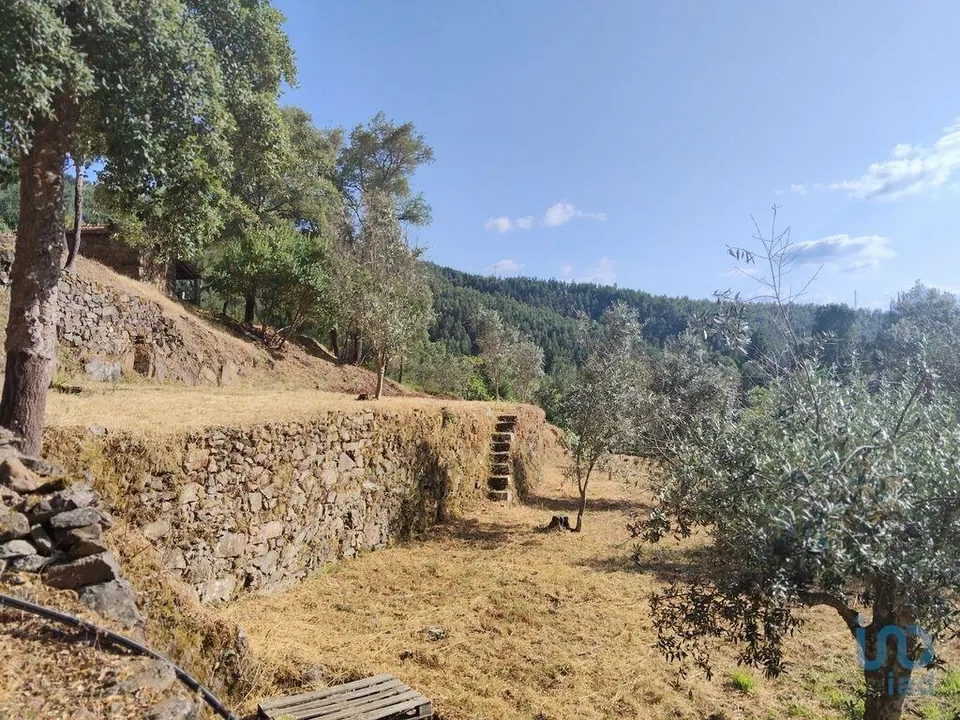 Helårsgrund i Serta, Castelo Branco - foto 2